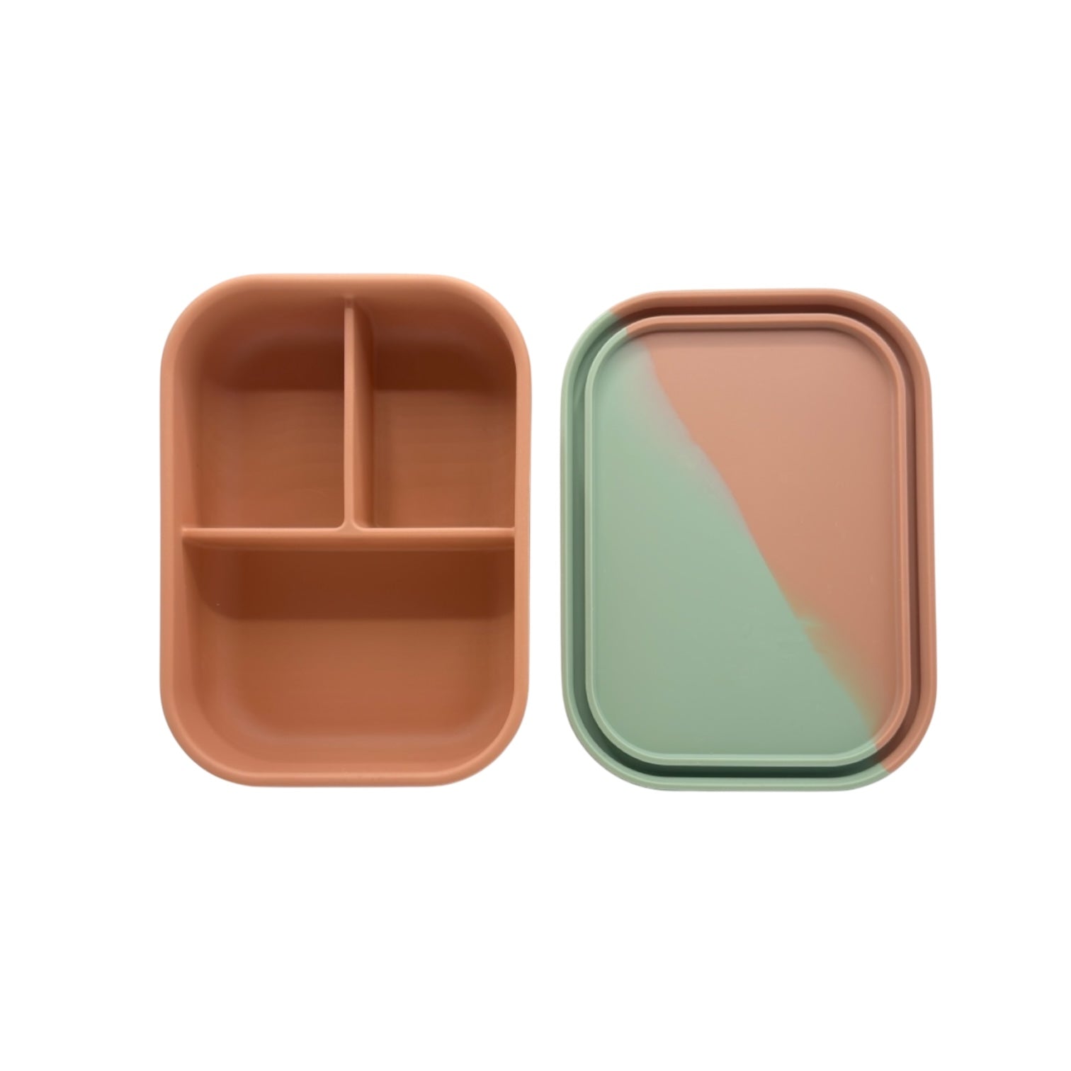 "Coral Tree/Olive Bento Box: Eco-friendly and durable."