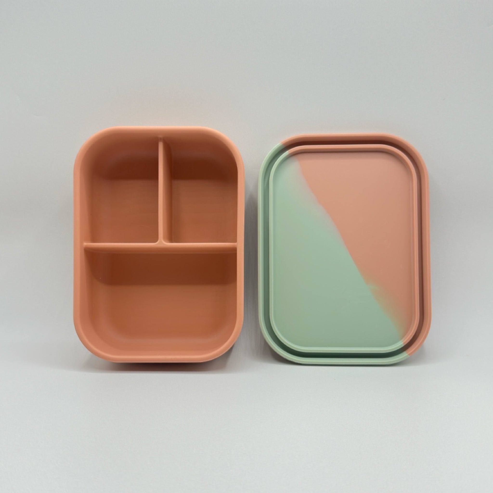 Bento Box - Coral Tree/Olive